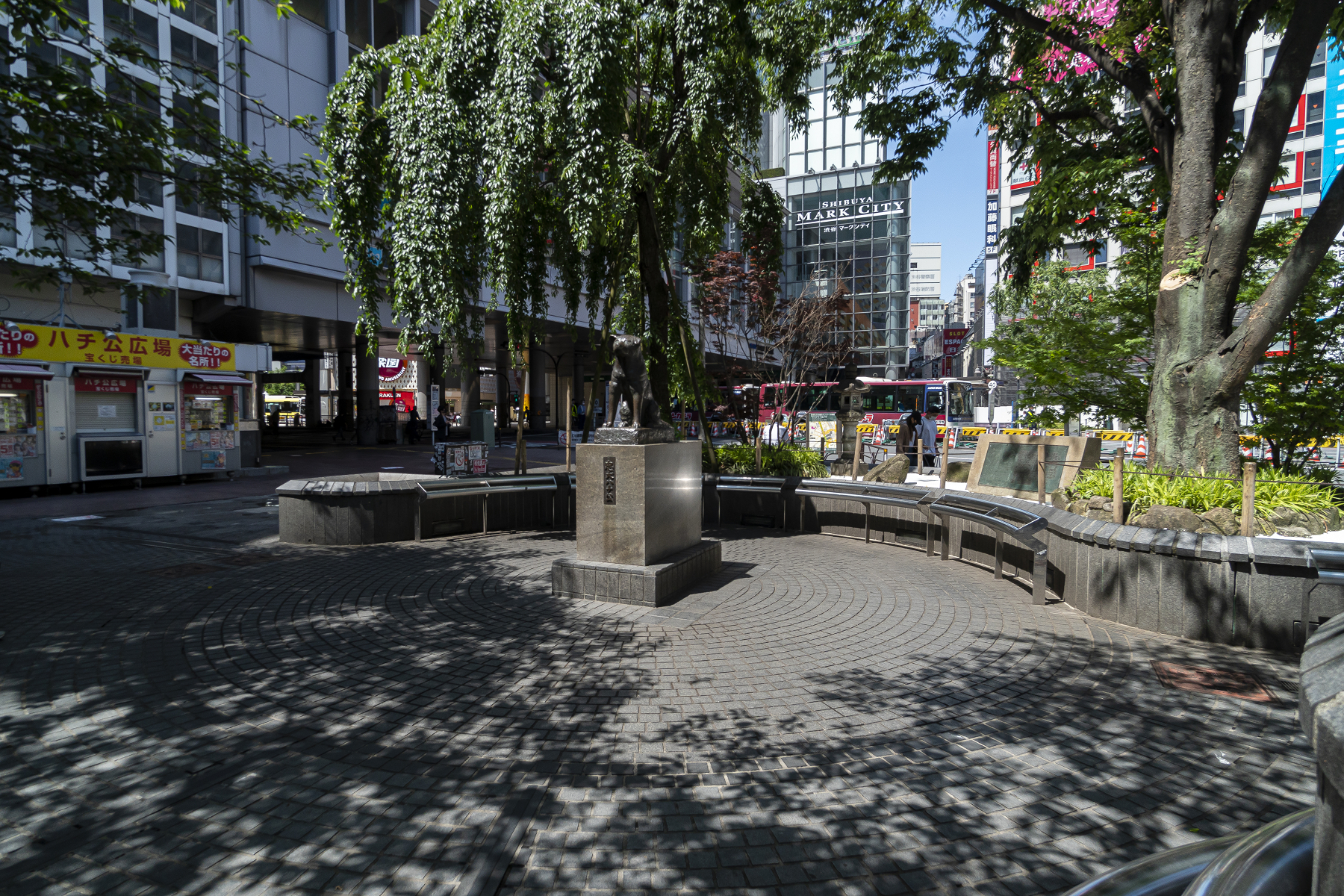 激変する渋谷ハチ公前広場の現在！再開発の真相と待ち合わせ穴場ガイド