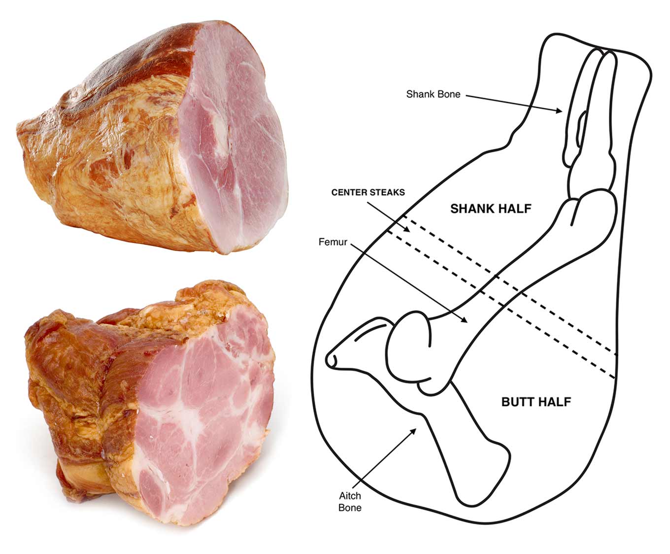 What Part of Body Is Ham