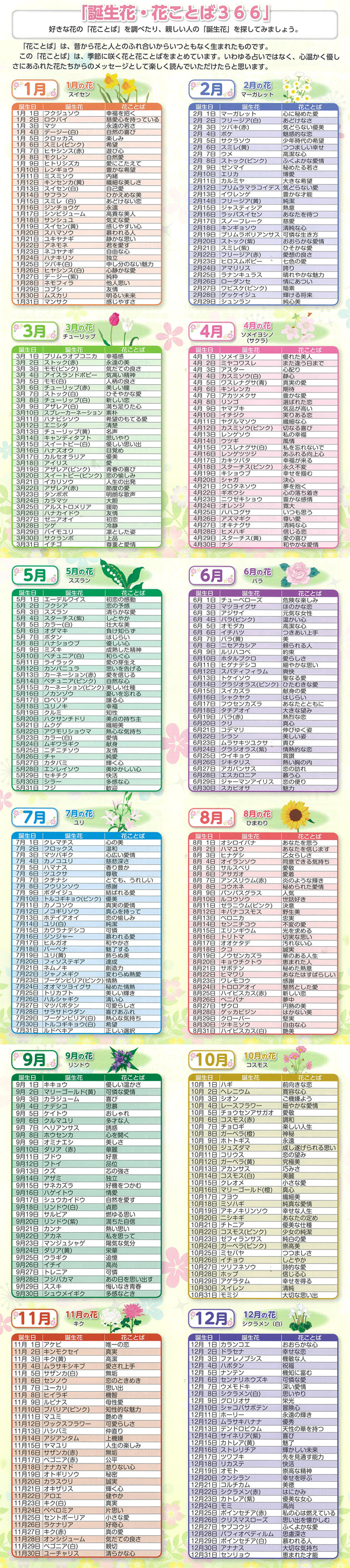 今日の誕生日の花言葉と由来｜怖い裏の意味とギフト選びの全知識【2026】