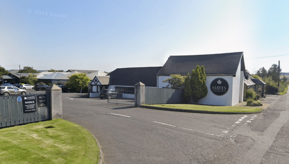 Is Hayes Garden Centre Closing Down