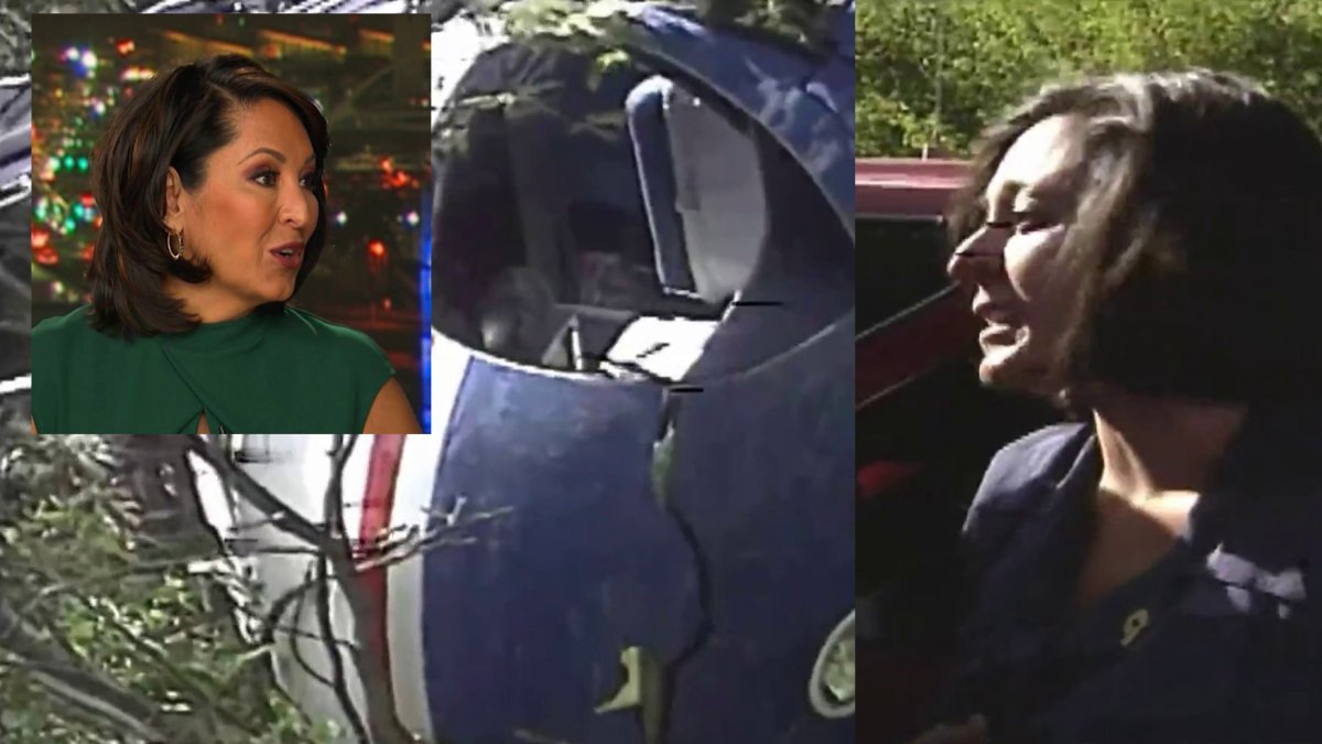 Nbc 4 Los Angeles Remembers: the Human Faces Behind the Nbc News Helicopter Tragedy