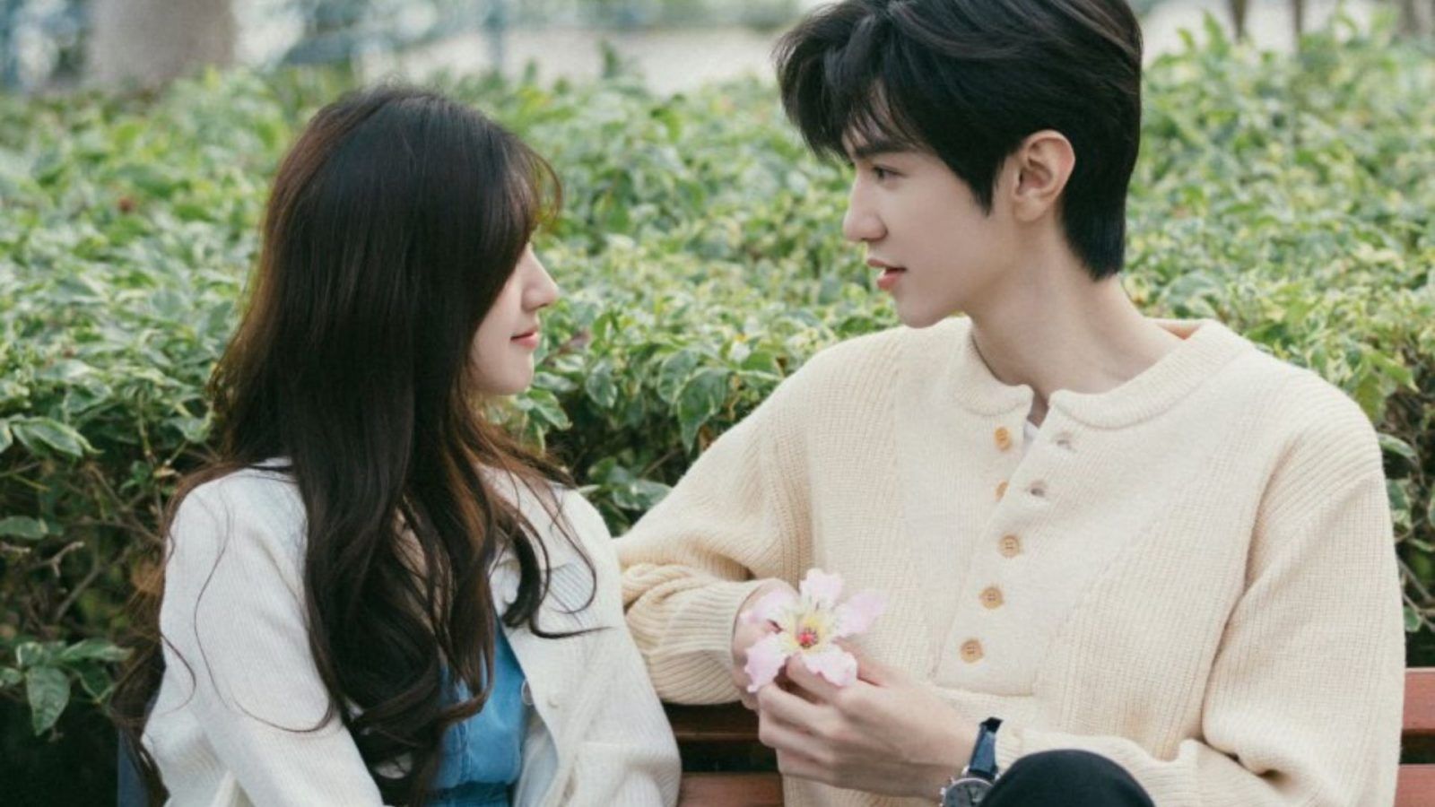 Romance with Hidden Identity Chinese Drama