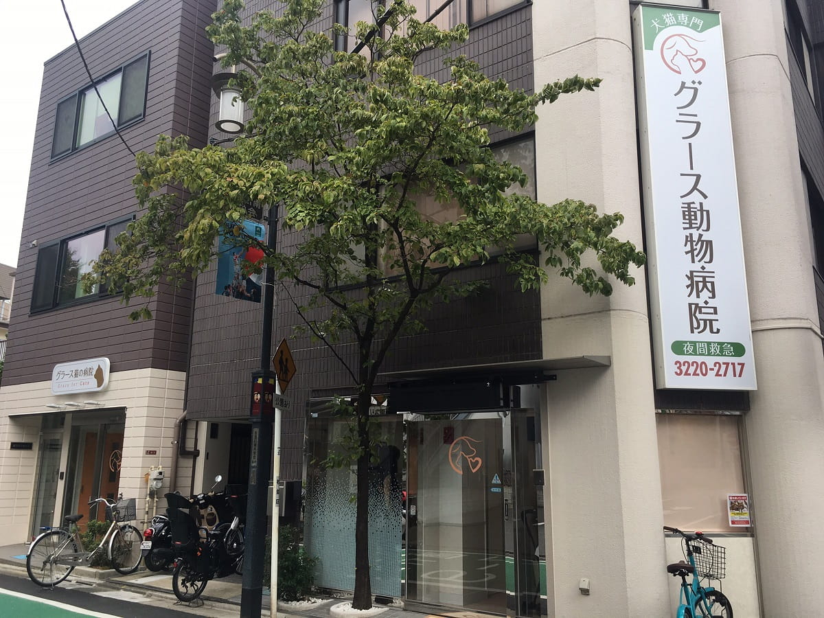 グラース動物病院の評判と口コミは？料金や救急対応の実態を徹底検証