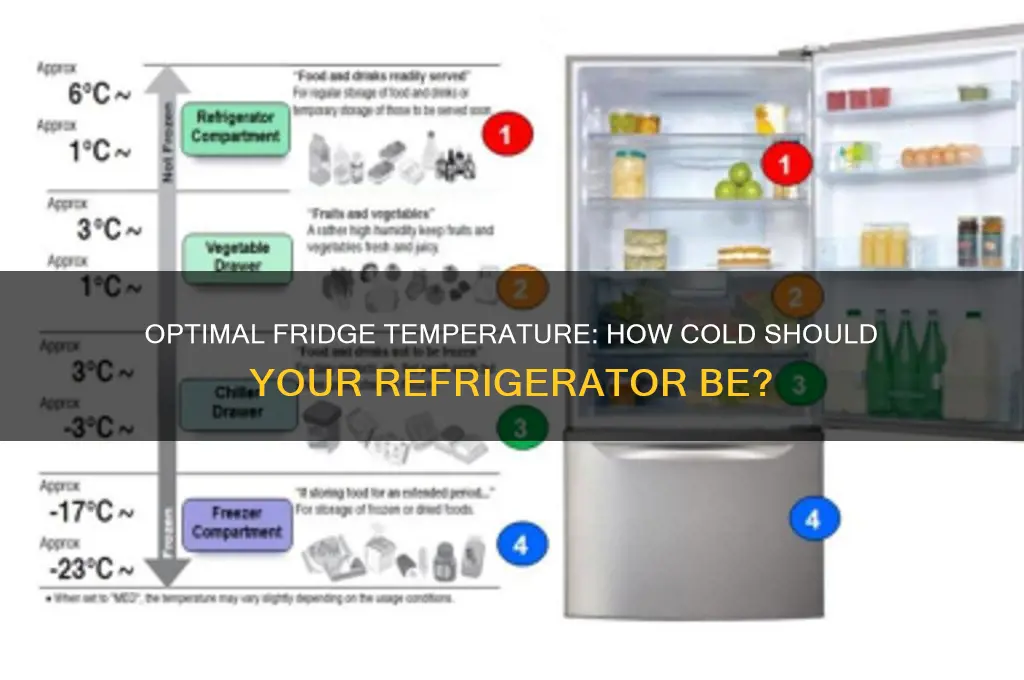 How Cold Is the Inside of a Fridge