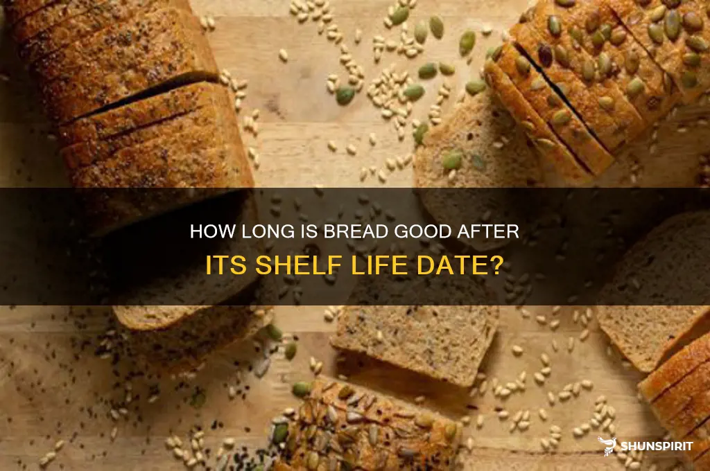 How Long Is Bread Good for After Sell by Date