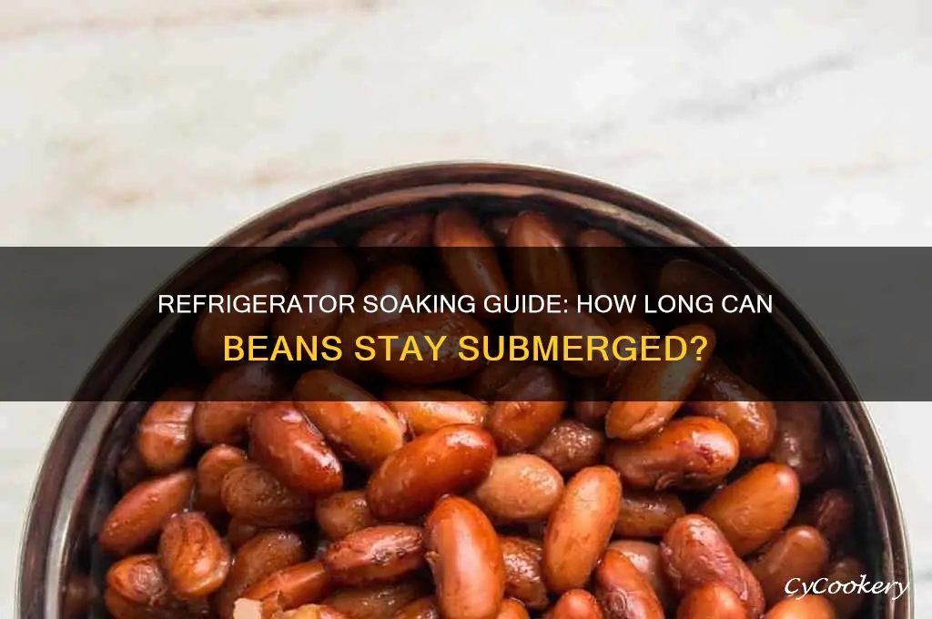 How Long Can Beans Soak in the Fridge