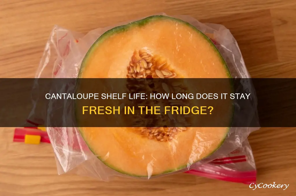 How Long Is Cantaloupe Good in the Fridge