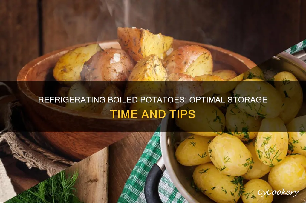 Can You Refrigerate Potatoes