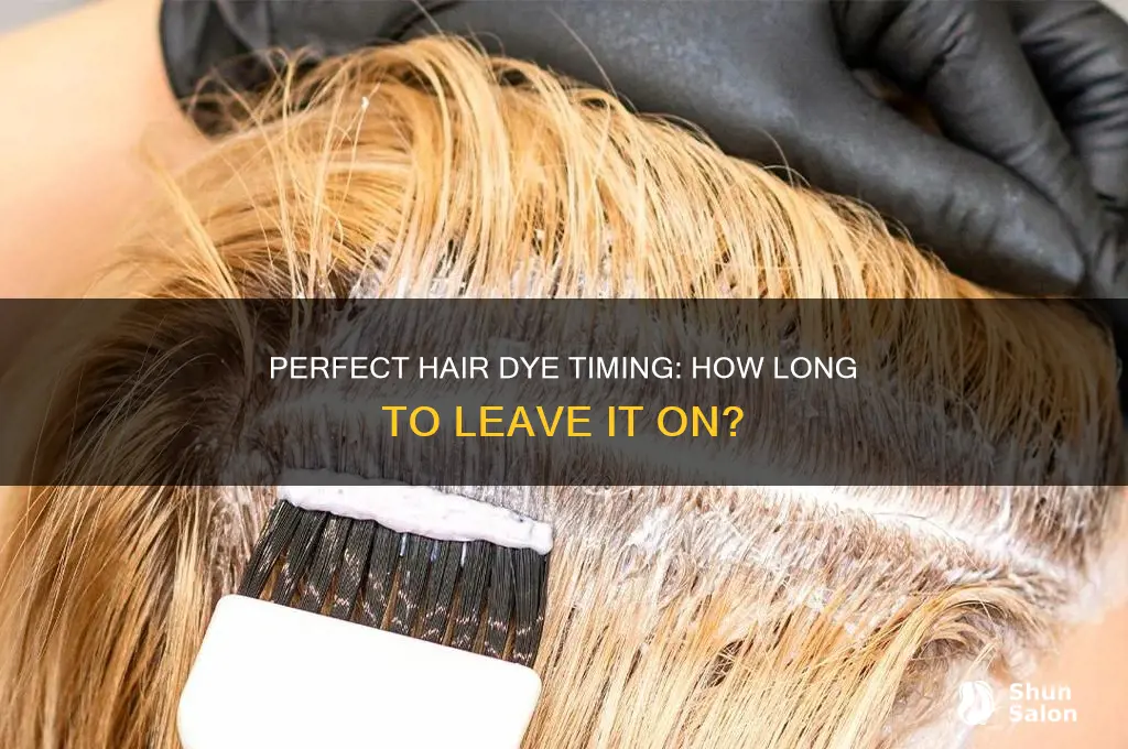 How Long Should I Leave Hair Dye in My Hair