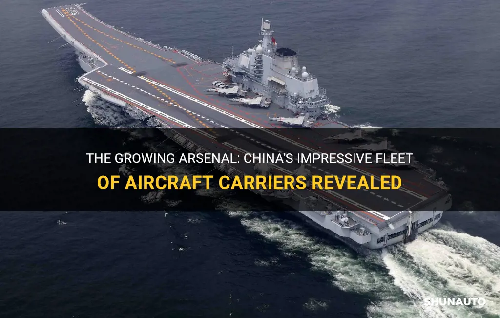 How Many Carriers Does China Have