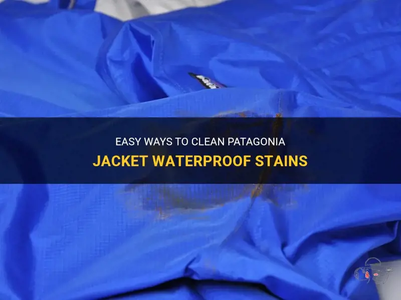 How to Wash Patagonia Polyester Jacket