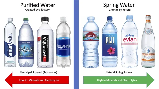 Which Is Better for You Purified or Spring Water