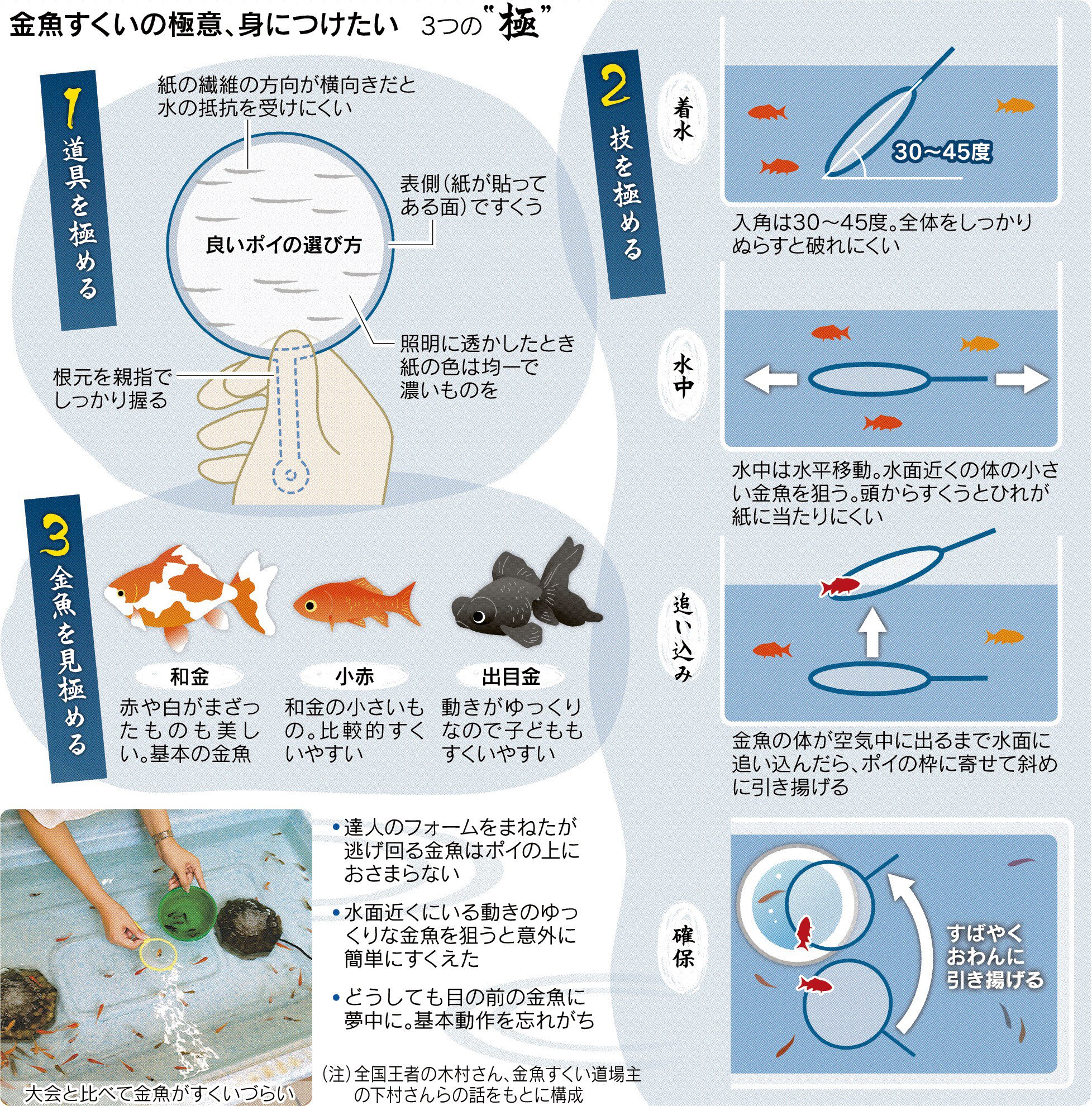 金魚すくいのコツ決定版！なぜすぐ破れる？プロ直伝の極意と飼育法