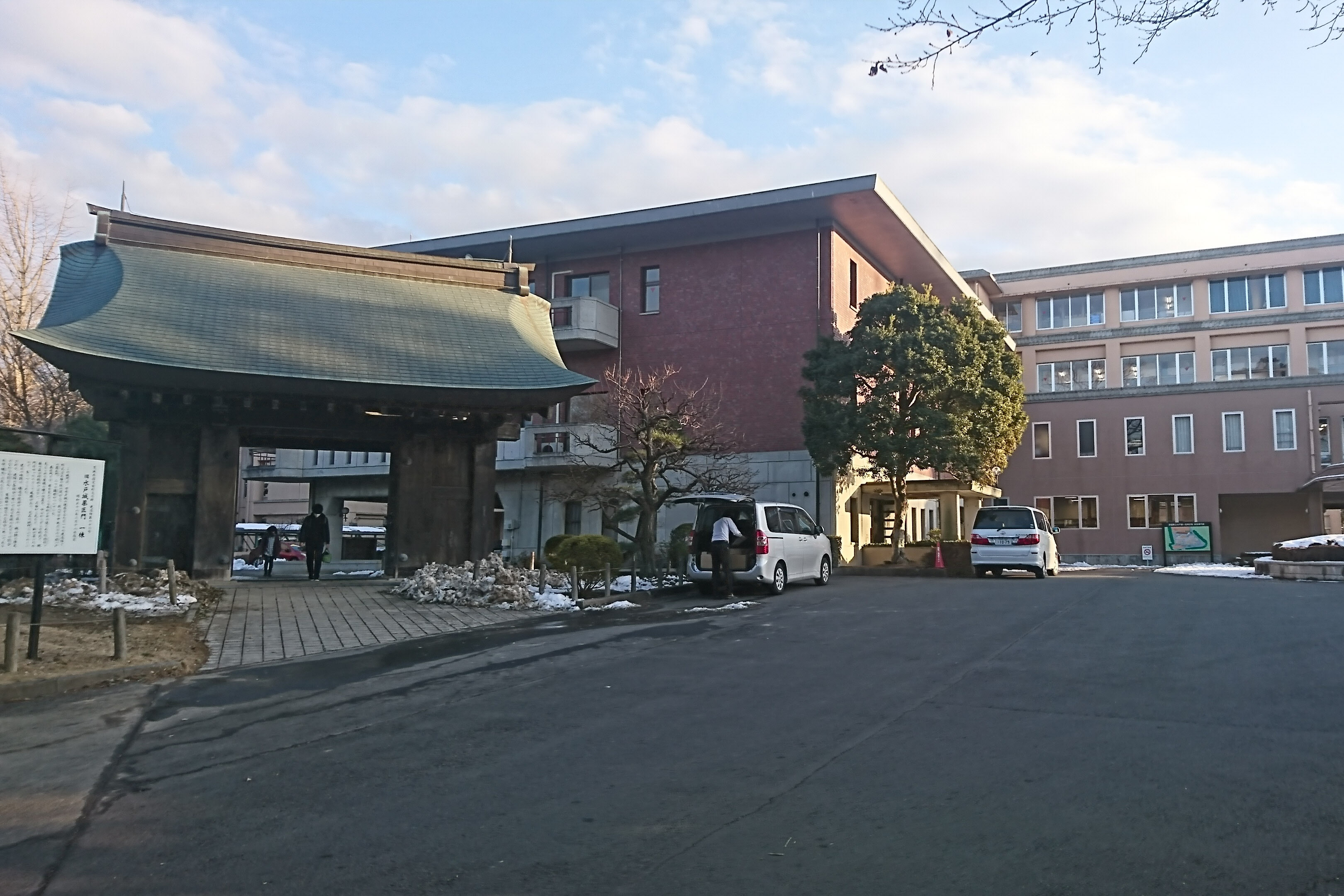水戸一高の進学実績と自由の真相｜東大・医学部合格と倍率の最新分析