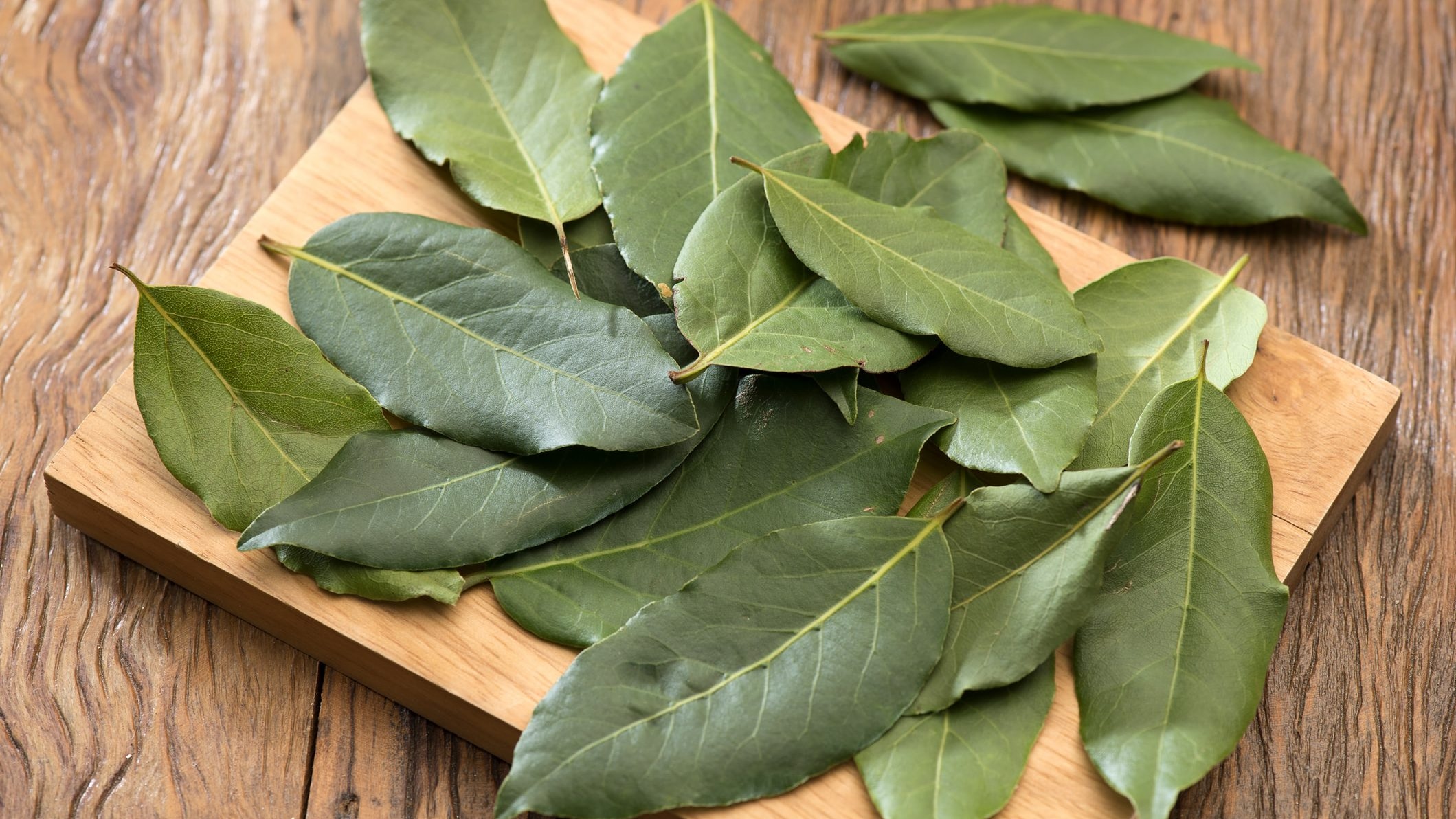 Why Can't You Eat a Bay Leaf