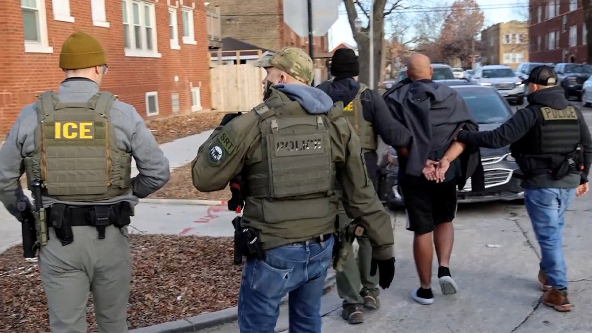 Immigration Officers Arrested Nine People at Dpd Delivery Depots