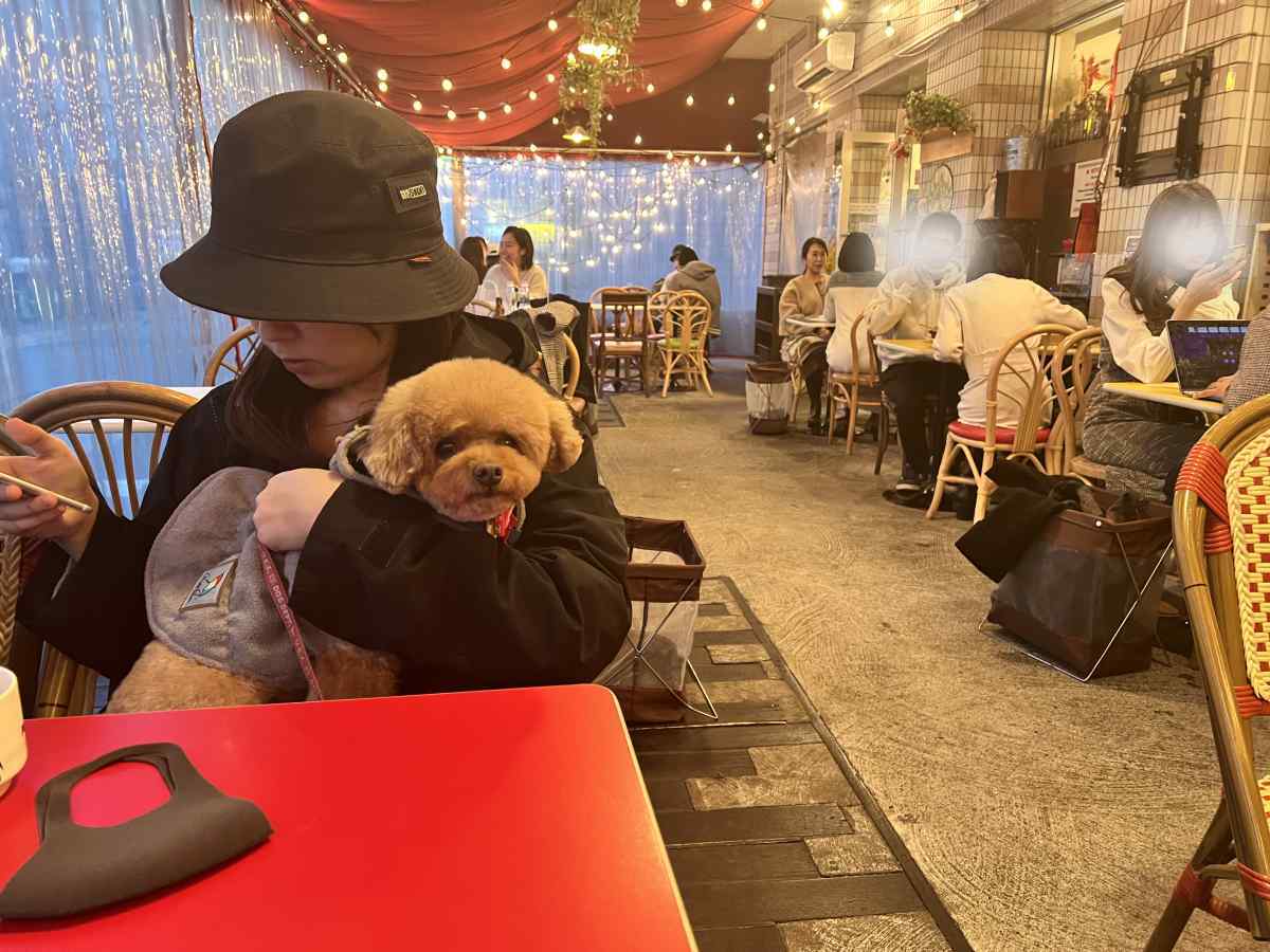【2026最新】池袋の犬連れカフェ＆雨の日Ok穴場スポット総まとめ