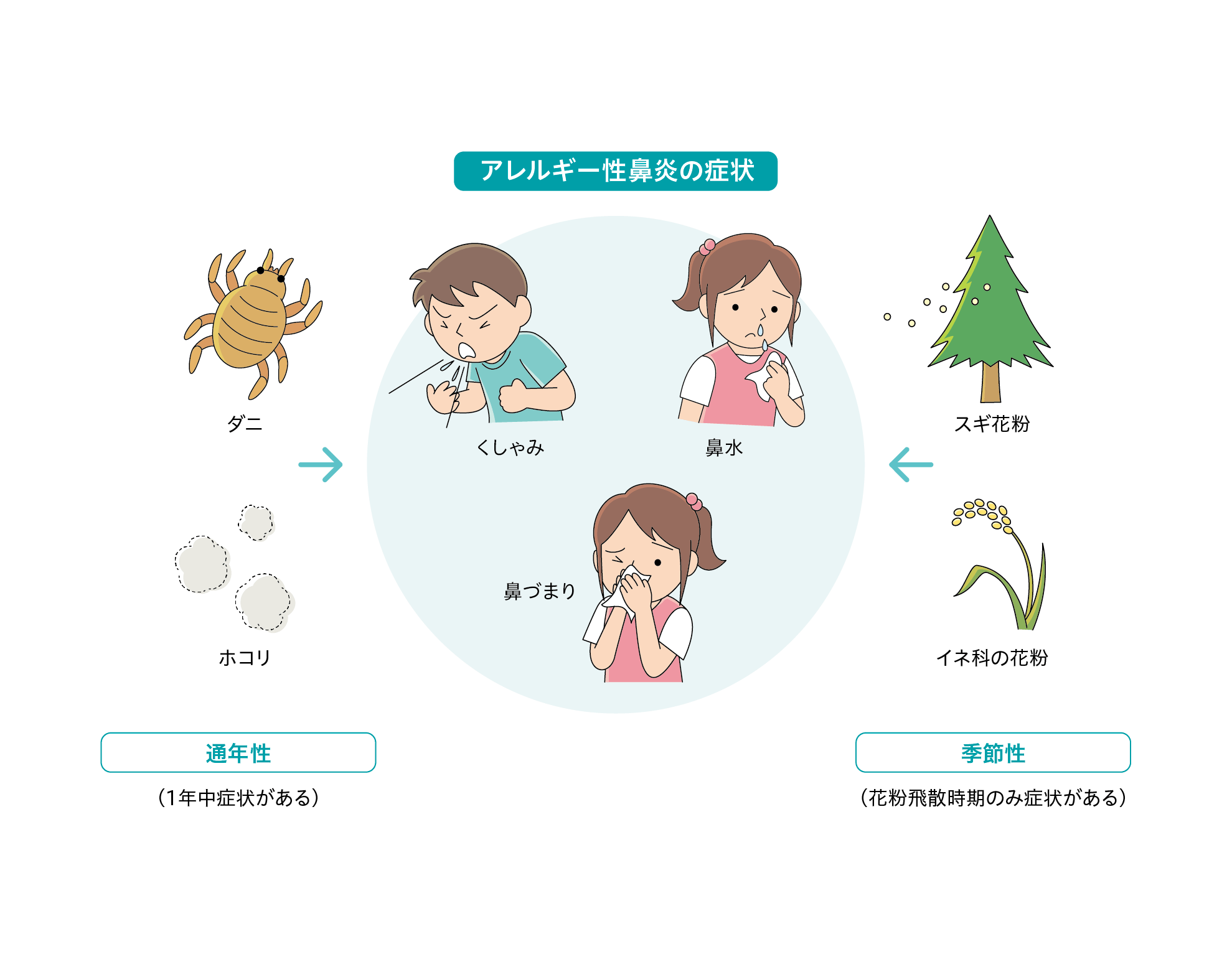 アレルギー性鼻炎の治し方最新版！止まらない鼻水・鼻づまりを根本解決