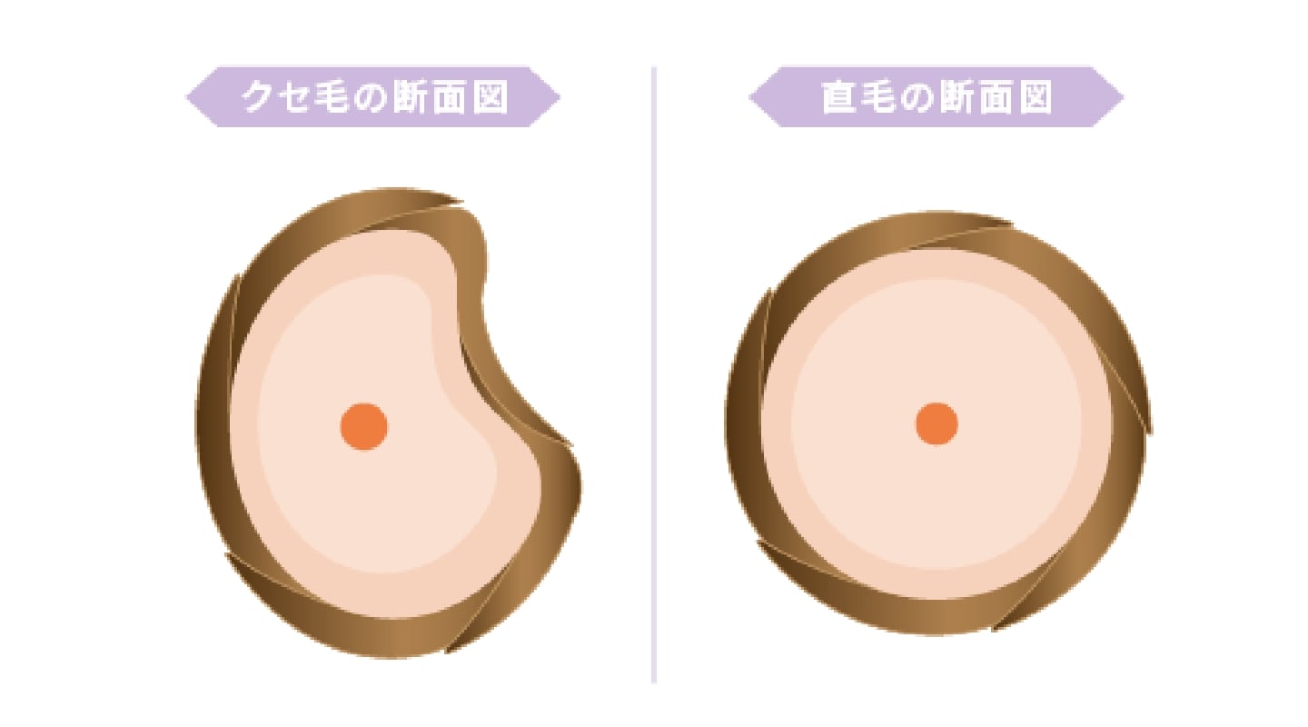 猫っ毛とは？剛毛・軟毛との違いと夕方のペタンコ髪を防ぐプロの改善策