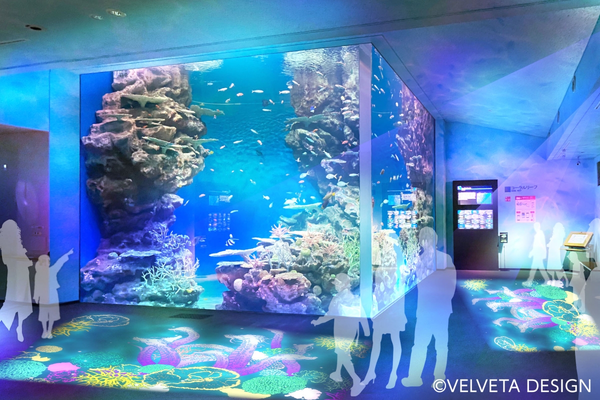 しまね海洋館アクアス完全攻略2026｜割引やシロイルカの裏技を徹底解説