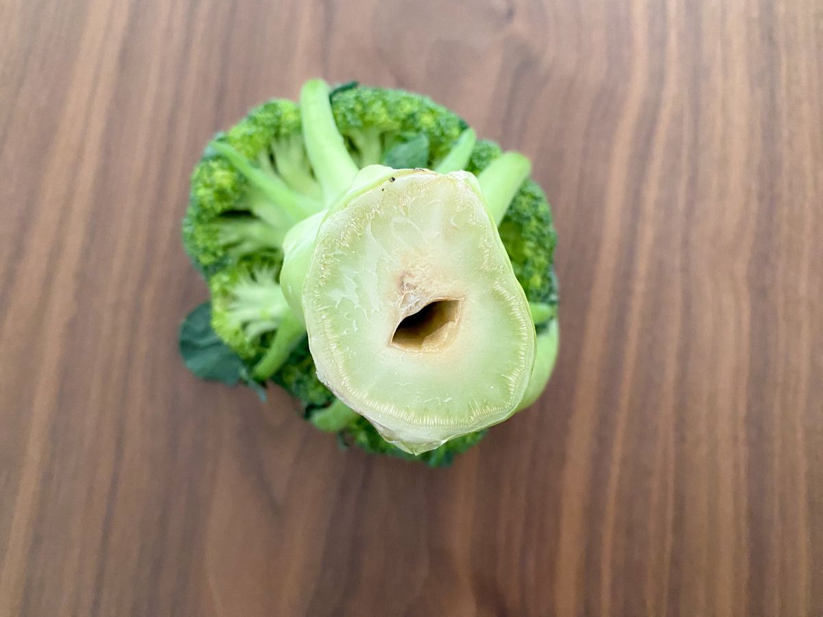 ブロッコリーの茎の穴は食べられる？空洞の正体と安全な見分け方