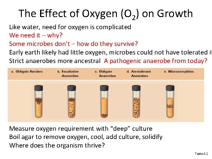 A Procedure Commonly Used to Smell Substances in the Lab