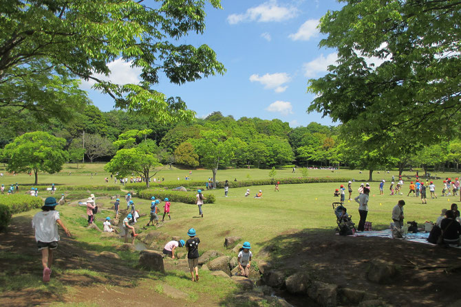 2026年、なぜいま松戸の「緑」に人が群がるのか？「21世紀の森と広場」が提示する都市と自然の新しいディスタンス