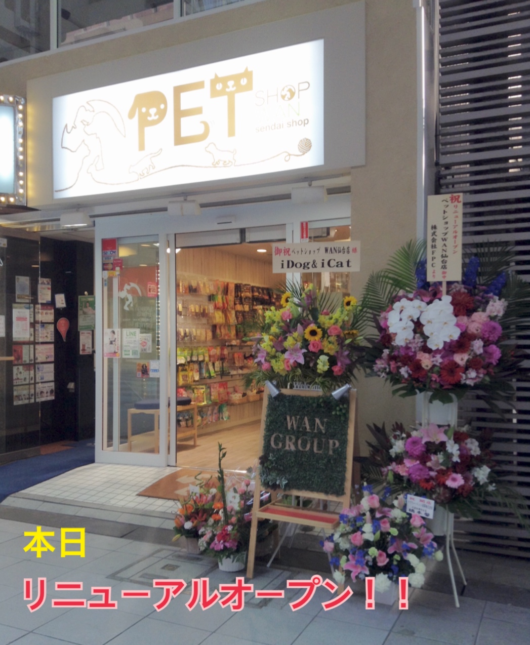 ペットショップWan仙台店の評判と閉店の真相｜2026年最新検証