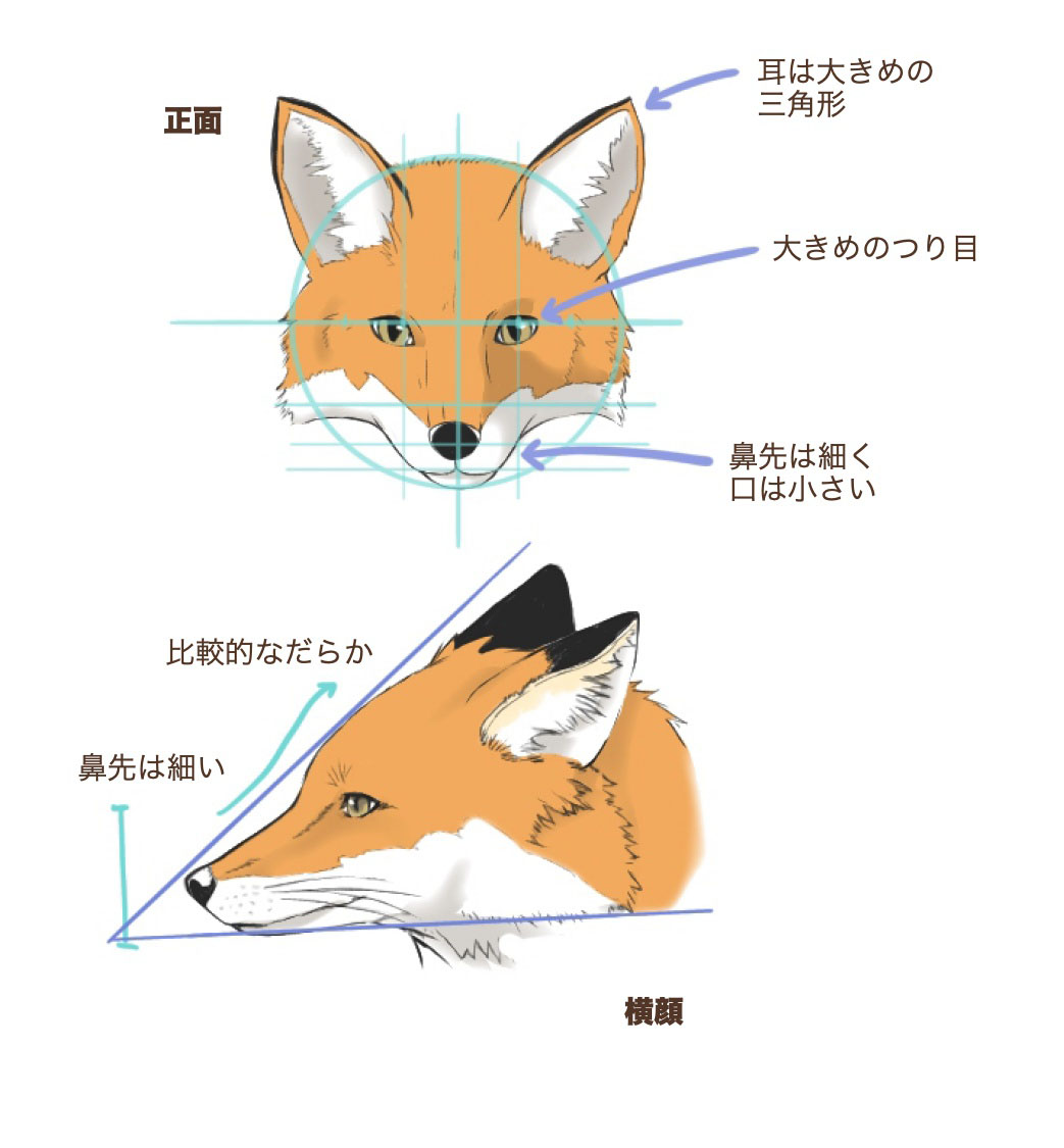 埼玉の生サブレ「やわらか」が愛される理由！店舗・評判・賞味期限を徹底解説