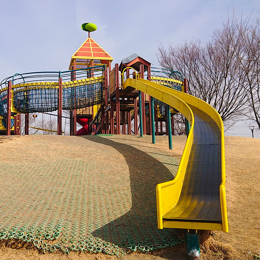 【2026最新】玉村町北部公園の魅力解剖！圧巻のバラ園と大型遊具に迫る