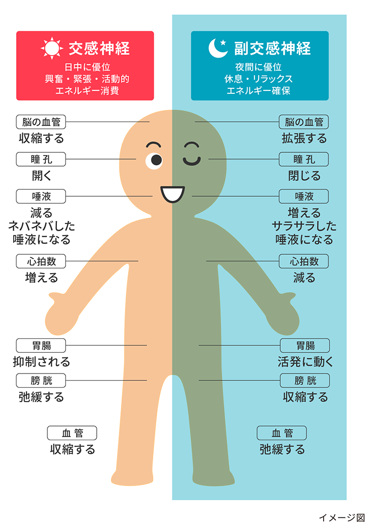 寝ても疲れが取れない病気の真相｜潜むリスクと正しい受診科ガイド