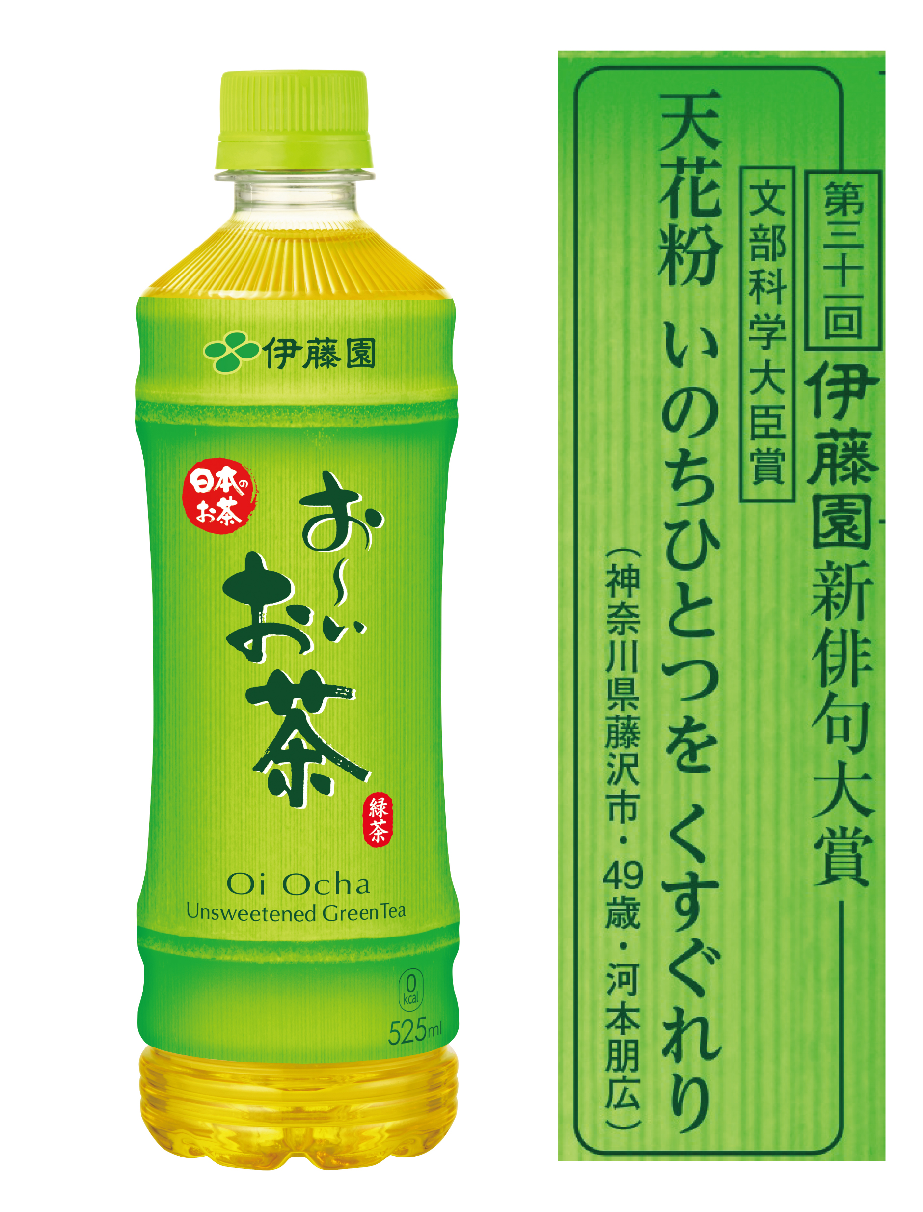 お〜いお茶俳句で入選する秘訣！歴代最高賞の傾向と審査基準を徹底解剖