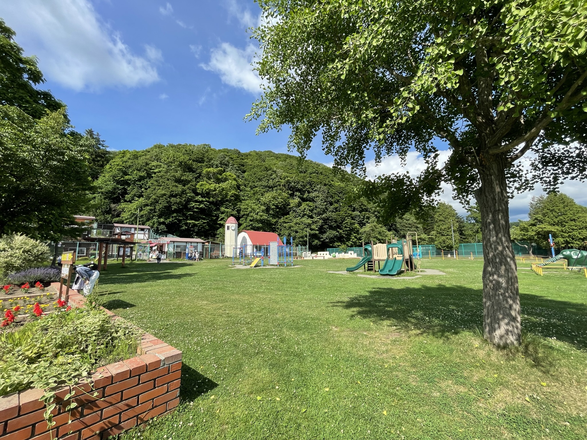 栗山公園の動物園が無料の真相は？混雑やキャンプ場の実態を徹底検証