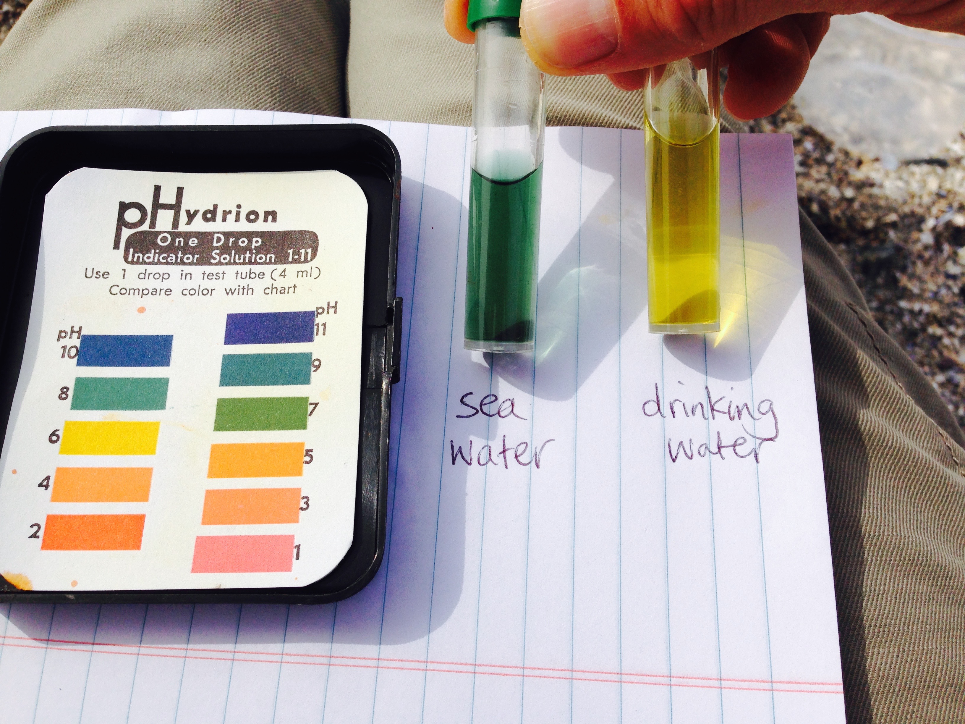 How to Check Ph in Water