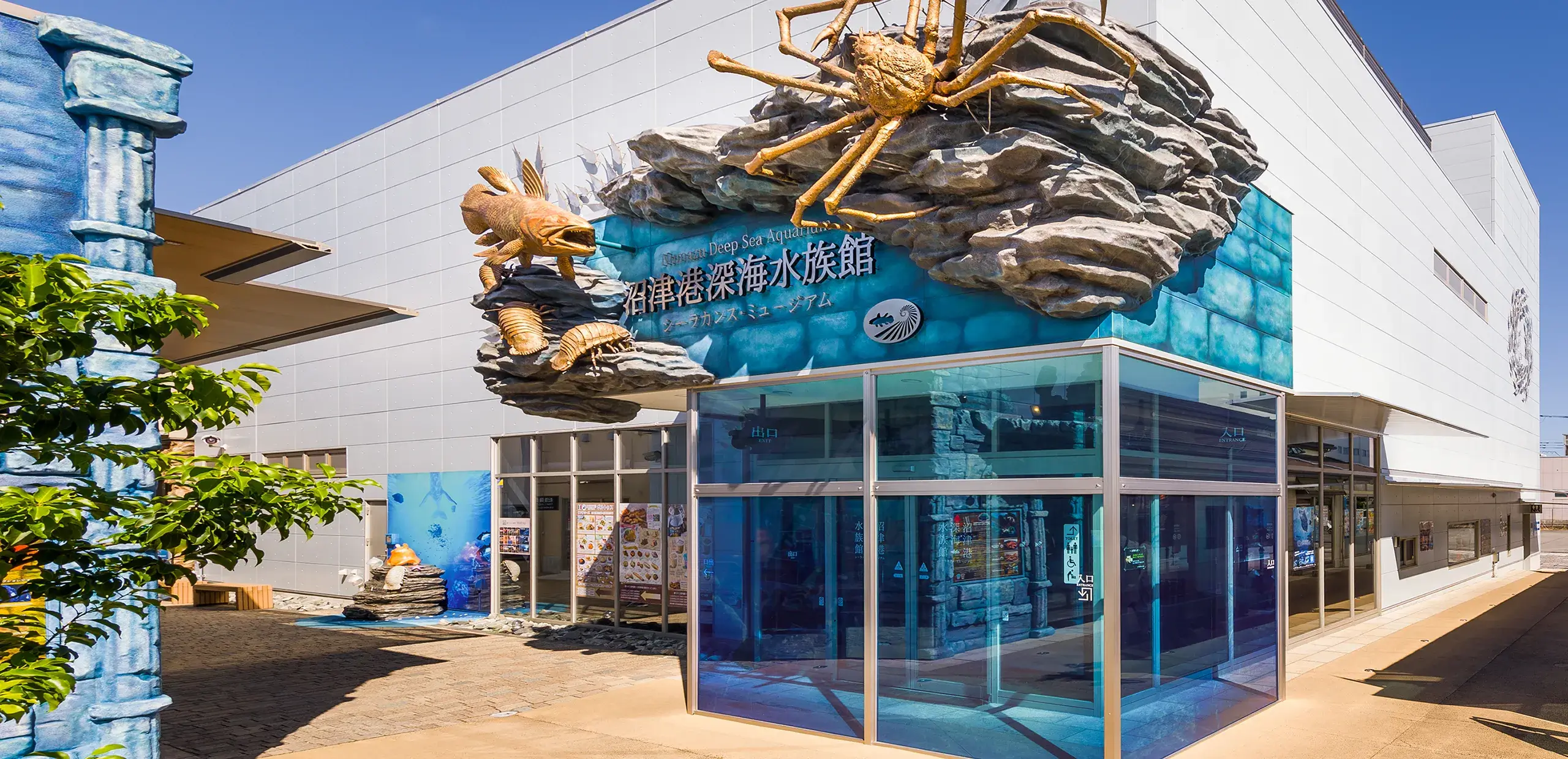 沼津港深海水族館が話題の理由とは？混雑回避と見どころを徹底検証
