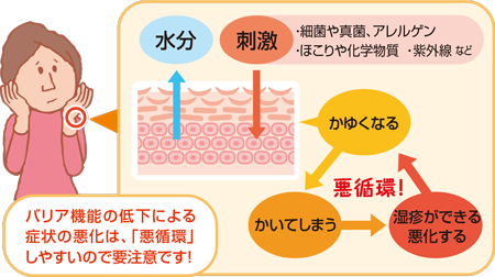 「ふわもこ」の裏に潜む皮膚トラブル？2026年最新の愛犬スキンケア事情と正しい自宅シャンプー法