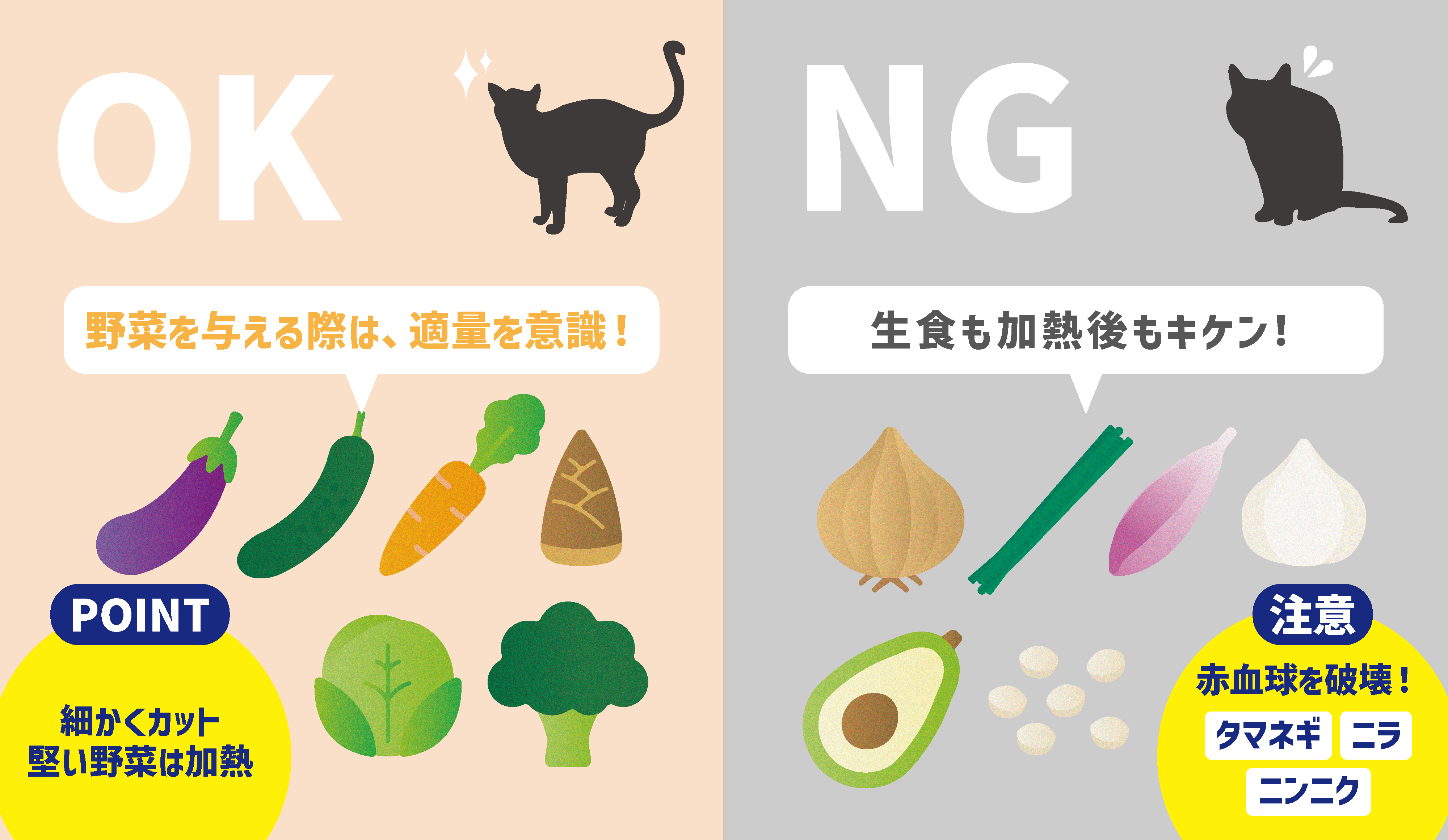 猫が食べられるもの完全ガイド！安全な食材と危険なNg食品の境界線