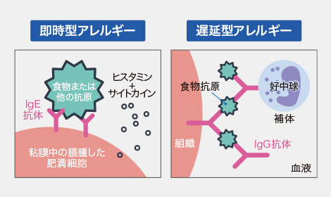 体が拒絶する「人間アレルギー」の真実。なぜ特定の誰かに脳と臓器レベルで拒絶反応が起こるのか