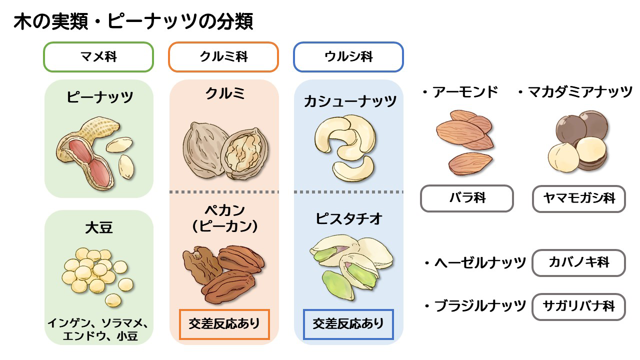 リンゴで喉がイガイガする原因は？バラ科アレルギーの真相と対処法