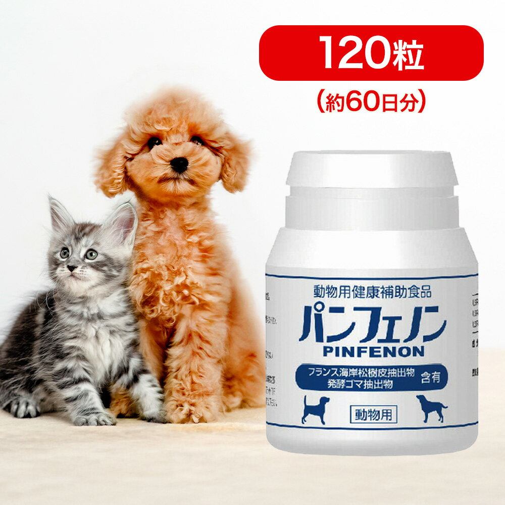 愛犬のガーガー音にサプリは効く？気管虚脱の予防と最新評判を徹底検証
