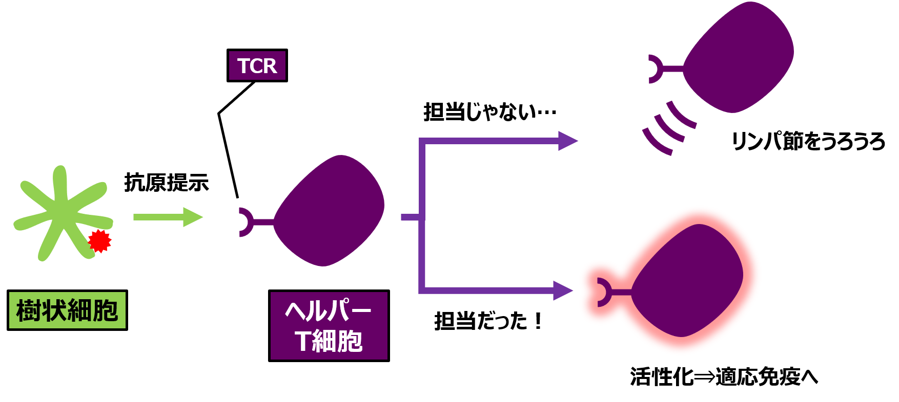 寛容とは？意味や特徴、息苦しい時代で人間関係を楽にする思考法
