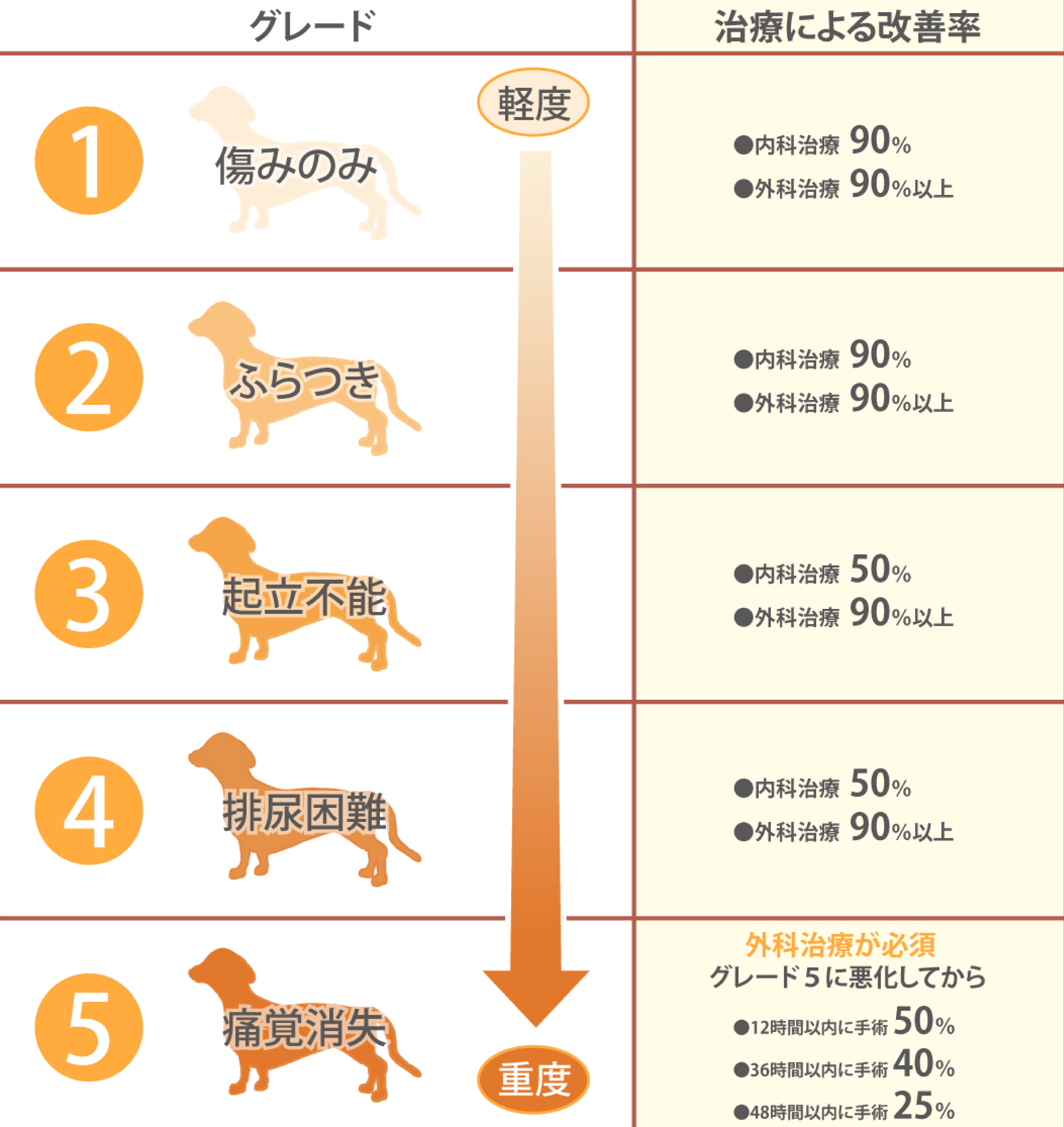 犬のヘルニア初期症状と手術費用｜歩けない愛犬を救う最新治療と予防策