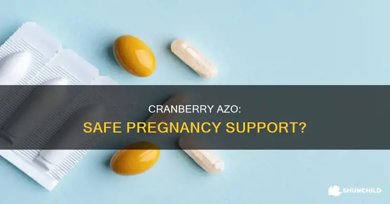 Can I Take Cranberry Pills While Pregnant