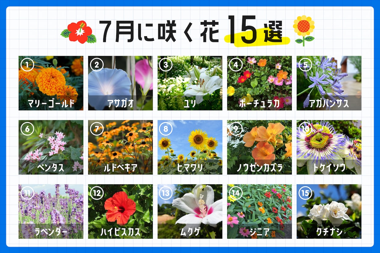 真夏の街を彩る7月の花！プロの長持ち生け方と最新トレンド情報