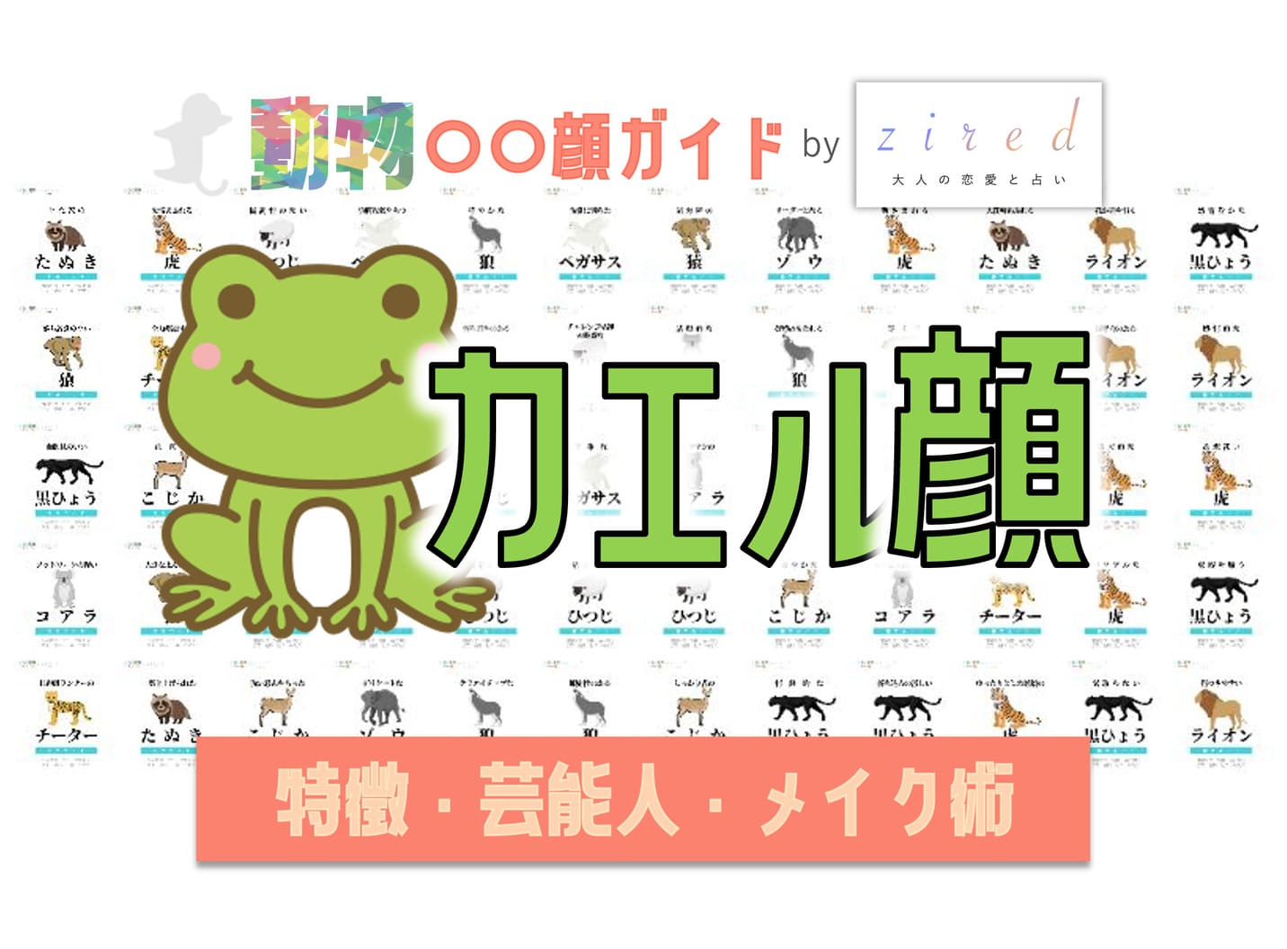カエル顔の芸能人ランキング2026！離れ目美人が圧倒的にモテる理由