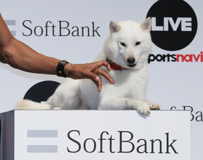 ソフトバンクのお父さん犬！歴代まとめ・犬種の真実と衝撃の裏設定