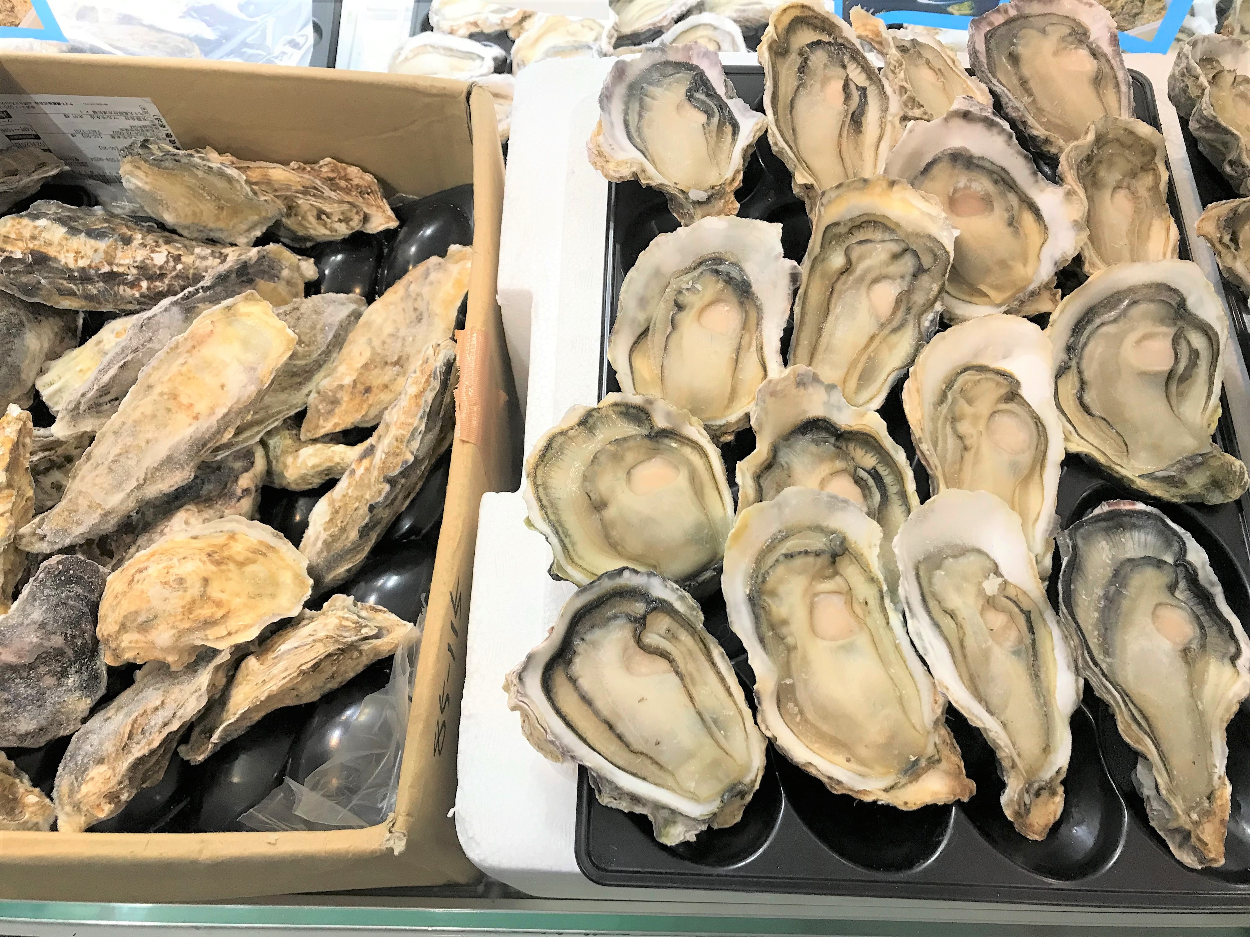 岩牡蠣と真牡蠣の決定的な違いは？旬・味わい・当たりやすさを徹底比較