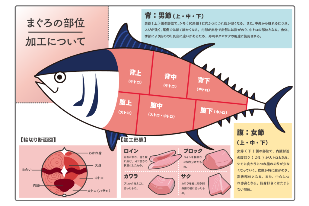 三崎港で行列が絶えない看板店！老舗魚屋直営マグロ丼の真価と攻略法