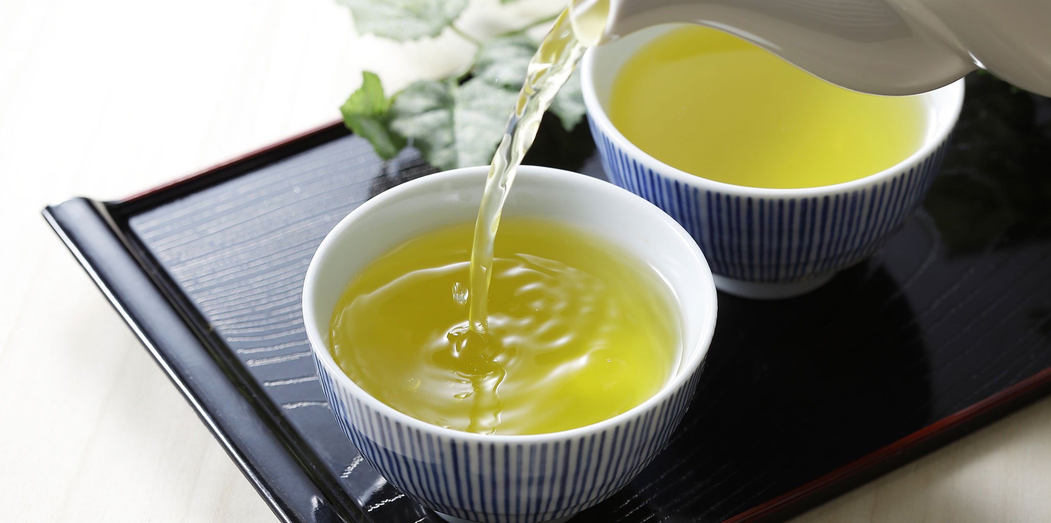 かりがね茶の真実｜なぜ高級玉露の茎茶がお茶通を唸らせるのか徹底解剖