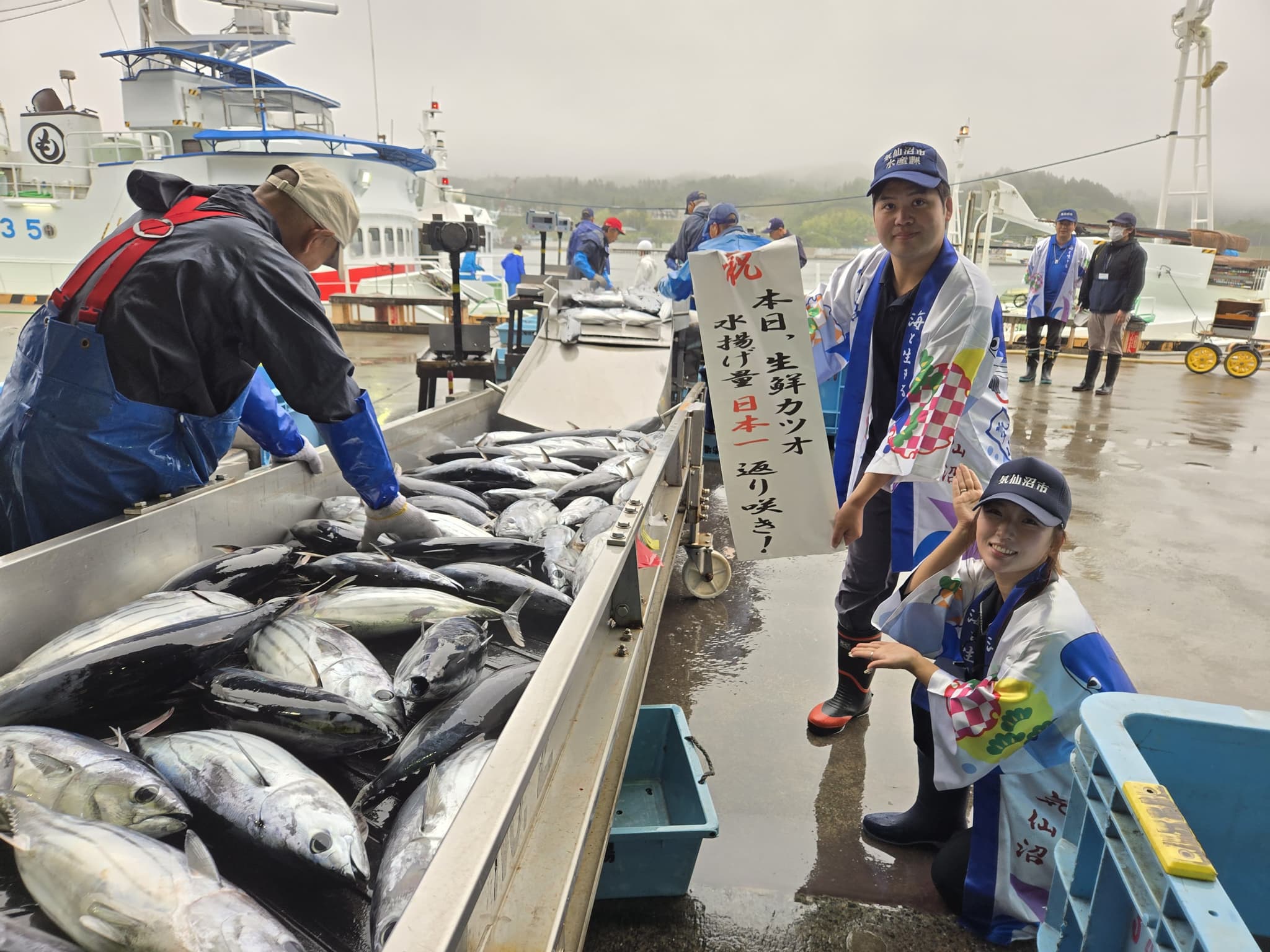 気仙沼カツオ水揚げ2026最新情報！日本一奪還の真相と相場推移
